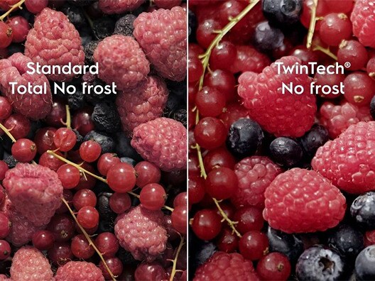 Displaying berries as a result of two different cooling technologies.